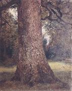 John Constable Study of the trunk of an elm tree Sweden oil painting artist